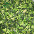 chinese frozen mixed vegetables price frozen diced pepper10*10mm